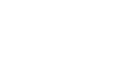 Visa partner logo